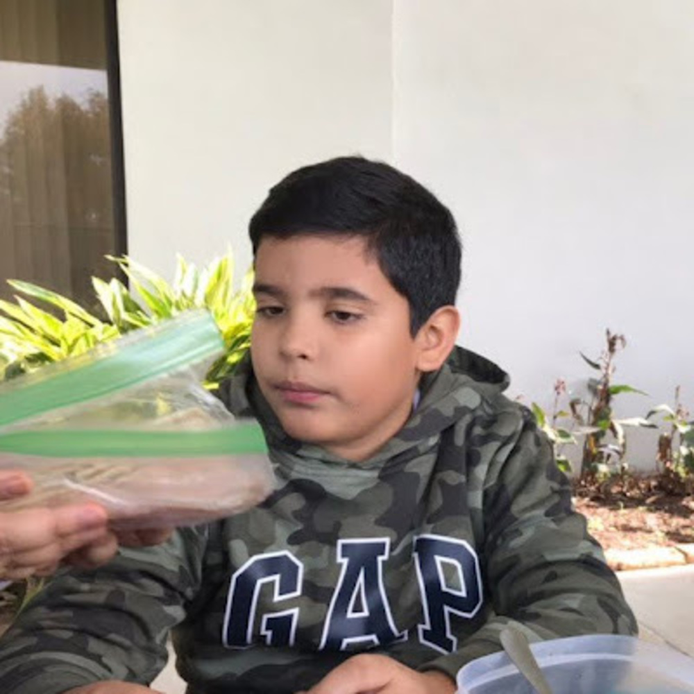 Meet your Posher, Cheepies